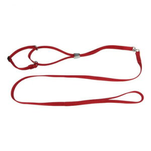 pP[h ^p \tg}[`Q[h M  `^p̃[hłB