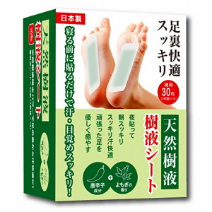 tV[g   ނݓVRt V[g IT-2307-01 t V[g K   r {fBPAyyz