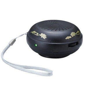 o ǌo ʎSo Q ǂłoXs[J[ ANS-602  _ d X}CLbY ֗ObY ACfBAi o dCЁyzyyz