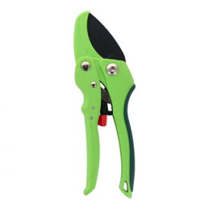 sita@tbfR[eBOyʙ@`Fbg^Cv@A826@360904 TrEjEɂY݂̕