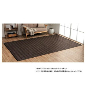 { 􂦂邢J[ybg uE cn1 85×170cm 1090031060102 {̏vȃO