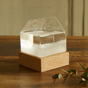 Cیv Xg[OX I[ig IuWF CeA ACeyFun SciencezXg[OX nEX C x ^    CeA TCGX Ȋw  I[igy