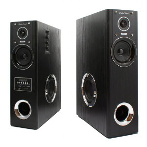 ^[Xs[J[ I[fBI@ er DVD y _Ci~bNTEhXs[J[ DS-12 ؖڒ N}ULGC ^[^ Xs[J[z[VA^[ ̓TEh 唗 Xs[J[ A