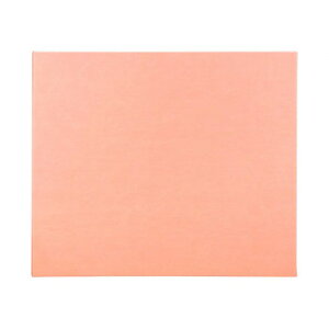 ܂414AoN sN 220-033 ̂郌U[dl\yz