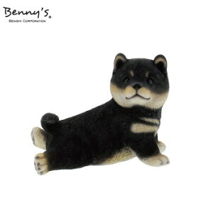 Benny's Vo(Xgb`) QB-028GBK Č̃IuWFyz