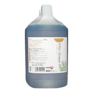 SP-1@X[p[vV[Y@ zCgVv[@4L IXXiyz