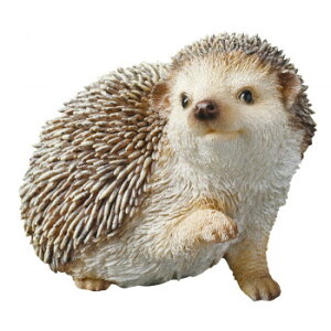 I[ig nlY~  14170 킢nlY~̃IuWFyz