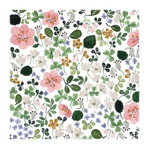 UB[i~j}bNX Anna Emilia Kl@ 1 AE-1 ȃfUC̃Kl@y[֑Ήz