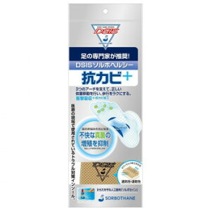 DSIS�\���{�w���V�[ �R�J�r+ �x�[�W�� ���{���@L(26.0�`26.5cm)�E61750 DSIS�\���{�w���V�[�ɍR�J�r�@�\���v���X!!