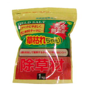 S_򏜑 ͂ꂿ 1kg ܂ȒP!!_̏܁B