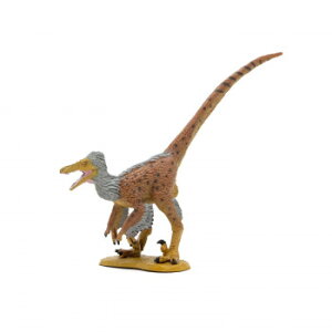 FDW-011 FLvg \tgf 73311 \tgfނgptBMA!