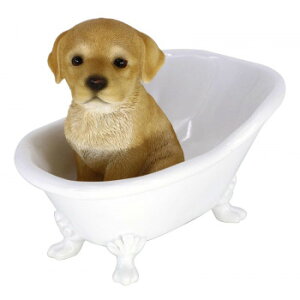 hbOI[ig uh[ oX^u 14244 oX^uɎ܂pƂĂ킢yz