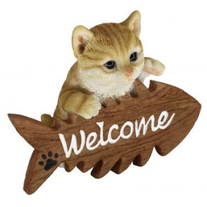�L���b�g�I�[�i�����g �L�e�B welcome�T�C�� 14210 ���A���ȓ����̃I�[�i�����g�y���������z