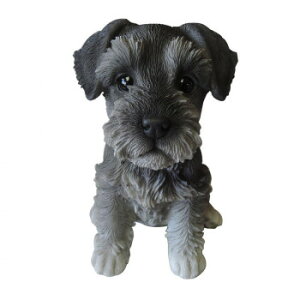 hbOI[ig(ViEU[)@14068 킢Ck̕\ɖ܂yz