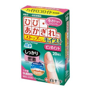 t@~[PA XgbvoCXg s|Cg 20 843611 ЂсEPAXgXt[Ɂy[֑Ήz