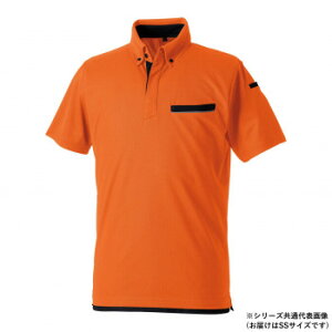 Ka 7335-51 |Vc(|Pbgt) SSTCY IW(74) sȐÓdC炵K[hyz