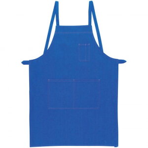 Ka 10032 Gv(|) FTCY Cu[(203) SOWA ƗpJ[Gv