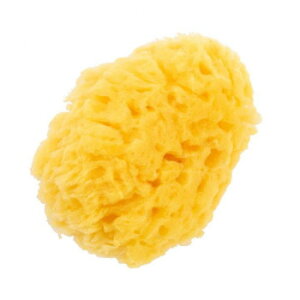 Pigeon(ピジョン) 天然カイメン 泡立ちがよく、赤ちゃんのデリケートな肌に最適