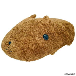 ZLO`@ӂƃJso@قTCY@Jso@697465 ӂƃJsoyz