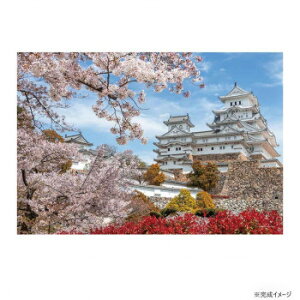 WO\[pY 1000RpNgs[X ̕PH() 13-08 EY̕PH