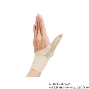 ҂̎T|[^[Fit AP-434726 M x[W Ep 428328 H1006 T|[^[