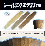 人毛100%シールエクステ約23cm(少し長くしました)　6本セット(6シート)横幅4cm 1cm幅でカットすれば24本…