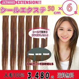 人毛100%シールエクステ50cm　6本セット♪横幅4cm**1cm幅でカットすれば24本分使えてお得!!***シールプレゼント終了しました!!（1本約2.4g）SL-050【エクステンション　エクステ シールエクステ　人毛シールエクステ　人毛　ボンド】