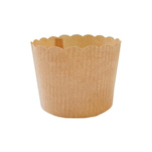 �y3/15����I�|�C���g5�{�z�V������ �y���K�~���J�b�v�����nPM300 10��