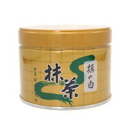 夏季冷蔵 小山園 抹茶槇の白 150g
