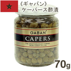 【マラソン限定ポイント5倍】GABAN ケーパース（酢漬け） 70g