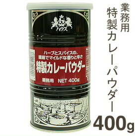 【マラソン期間限定！ポイント5倍】ハウス 業務用特製カレーパウダー 400g