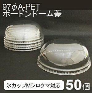 y10/30܂Ń|Cg5{z97A-PET{[hh[W 50