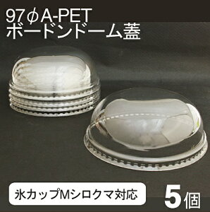 y10/30܂Ń|Cg5{z97A-PET{[hh[W 5