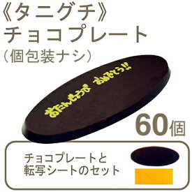 【マラソン限定！ポイント5倍】夏季冷蔵 たにぐち チョコプレート（BM-20ファインプレート） 10g×60個 （個包装ナシ）