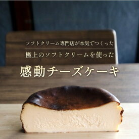 感動チーズケーキ アムバスク5号 送料無料 お取り寄せ ケーキ 高級スイーツ ギフト 北海道クリームチーズを使用 グルテンフリー バスクチーズケーキ 誕生日 お菓子 デザート