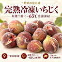 【枚数限定3,000円以上で150円OFFクーポン】完熟冷凍いちじく 千葉県市原市産 1kg 2kg 5kg 桝井ドーフィン 収穫当日－…