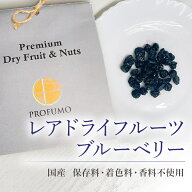 国産ブルーベリー 果実 ドライフルーツ ギフト 30g お試し 送料無料 なし 無着色 無香料 フルーツ 夏 果…