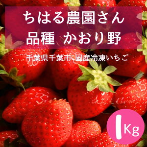  Ⓚ1kg ͂_̂  t YⓀ XC[c fU[g Ⓚʕ x Â  Ɩp hV̓ v[g Mtg 
