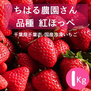 gق Ⓚ1kg ͂_  t YⓀ XC[c fU[g Ⓚʕ x Â  Ɩp hV̓ v[g Mtg 