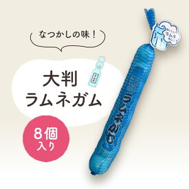 ニュー東京製菓 大判 ラムネがむ 8個