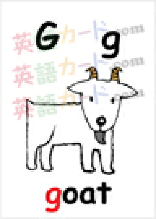 楽天市場 フラッシュカード えらべる 英語 カード アルファベット イラスト入り 名刺サイズ 送料無料 七田式 英単語 １歳 ２歳 ３歳 ４歳 ５歳 ６歳 教材 学習 子供 子ども こども 小学校 幼稚園 中学校 星みつる式 幼児 小学生 単語カードえいご 絵本 1年 2年 3年