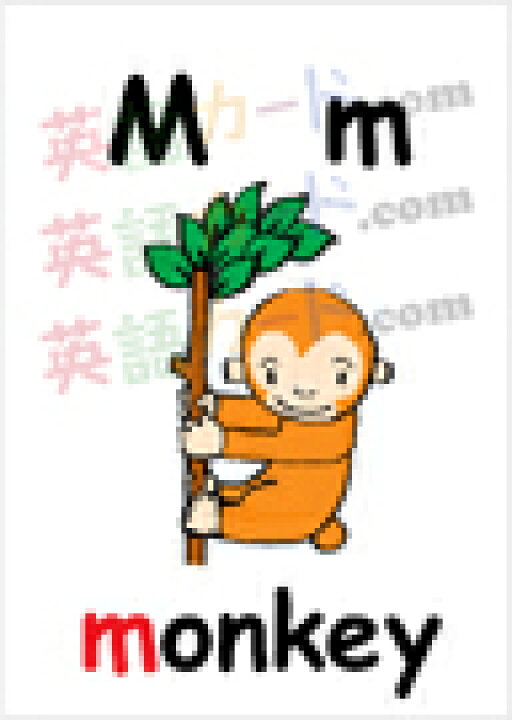 楽天市場 フラッシュカード えらべる 英語 カード アルファベット イラスト入り ハガキサイズ 送料無料 七田式 英単語 １歳 ２歳 ３歳 ４歳 ５歳 ６歳 教材 学習 子供 子ども こども 小学校 幼稚園 中学校 星みつる式 幼児 小学生 単語カード 絵本 1年 2年 3年 4年 5年