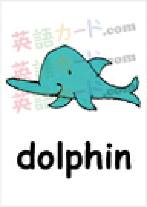 楽天市場 フラッシュカード えらべる 英語 カード Com 動物 ハガキサイズ 送料無料 七田式 英単語 1歳 2歳 3歳 4歳 5歳 6歳 教材 学習 子供 子ども こども 小学校 幼稚園 中学校 チャンツ 星みつる式 幼児 小学生 単語カードえいご 絵本 1年 2年 3年 4年 5年 楽天市場 フラッシュカード えらべる 英語 カード Com 動物 ハガキサイズ 送料無料 七田式 英単語 1歳 2歳 3歳 4歳 5歳 6歳 教材 学習 子供 子ども こども 小学校 幼稚園 中学校 チャンツ 星みつる式 幼児 小学生 単語カードえいご 絵本 1年 2年 3年 4年 5年