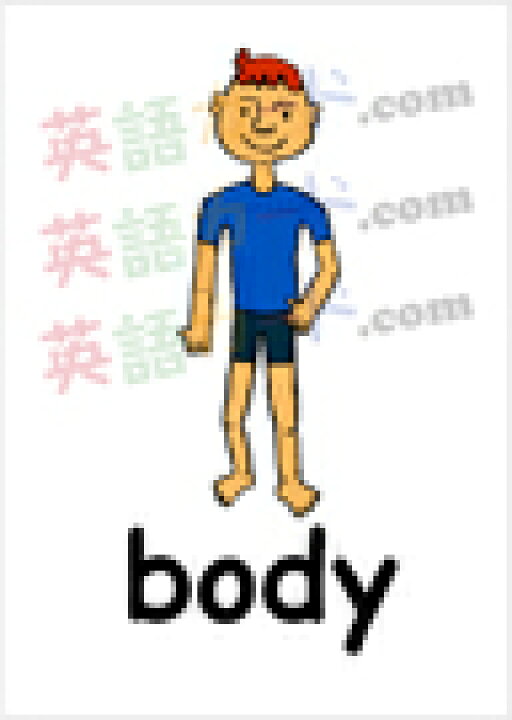 楽天市場 フラッシュカード えらべる 英語 カード Com 体の部分 ハガキサイズ 送料無料 七田式 英単語 １歳 ２歳 ３歳 ４歳 ５歳 ６歳 教材 学習 子供 子ども こども 小学校 幼稚園 中学校 チャンツ 星みつる式 幼児 小学生 単語カードえいご 絵本 1年 2年 3年 4年 5年