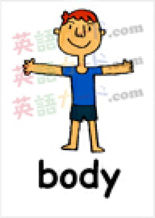 楽天市場 フラッシュカード えらべる 英語 カード Com 体の部分 ハガキサイズ 送料無料 七田式 英単語 １歳 ２歳 ３歳 ４歳 ５歳 ６歳 教材 学習 子供 子ども こども 小学校 幼稚園 中学校 チャンツ 星みつる式 幼児 小学生 単語カードえいご 絵本 1年 2年 3年 4年 5年