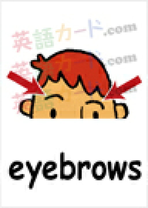 楽天市場 フラッシュカード えらべる 英語 カード Com 体の部分 ハガキサイズ 送料無料 七田式 英単語 １歳 ２歳 ３歳 ４歳 ５歳 ６歳 教材 学習 子供 子ども こども 小学校 幼稚園 中学校 チャンツ 星みつる式 幼児 小学生 単語カードえいご 絵本 1年 2年 3年 4年 5年