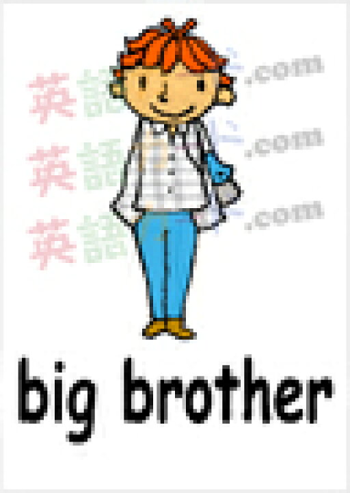 楽天市場 フラッシュカード 家族 ハガキサイズ 英語カード Com 送料無料 七田式 英単語 1歳 2歳 3歳 4歳 5歳 6歳 教材 学習 子供 子ども こども 小学校 幼稚園 中学校 チャンツ 星みつる式 幼児 小学生 単語カードえいご 絵本 1年 2年 3年 4年 5年 6年 楽天市場 フラッシュカード 家族 ハガキサイズ 英語カード Com 送料無料 七田式 英単語 1歳 2歳 3歳 4歳 5歳 6歳 教材 学習 子供 子ども こども 小学校 幼稚園 中学校 チャンツ 星みつる式 幼児 小学生 単語カードえいご 絵本 1年 2年 3年 4年 5年 6年