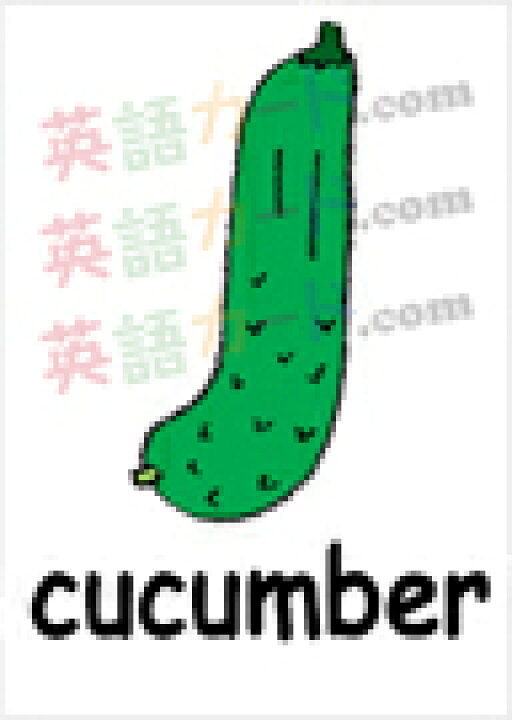 楽天市場 フラッシュカード えらべる 英語 カード Com 野菜 名刺サイズ 送料無料 七田式 英単語 1歳 2歳 3歳 4歳 5歳 6歳 教材 学習 子供 子ども こども 小学校 幼稚園 中学校 チャンツ 星みつる式 幼児 小学生 単語カードえいご 絵本 1年 2年 3年 4年 5年 楽天市場 フラッシュカード えらべる 英語 カード Com 野菜 名刺サイズ 送料無料 七田式 英単語 1歳 2歳 3歳 4歳 5歳 6歳 教材 学習 子供 子ども こども 小学校 幼稚園 中学校 チャンツ 星みつる式 幼児 小学生 単語カードえいご 絵本 1年 2年 3年 4年 5年