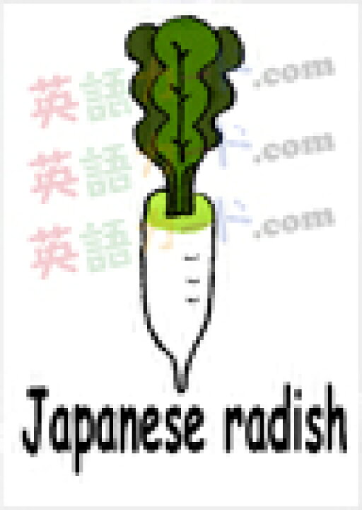 楽天市場 フラッシュカード えらべる 英語 カード Com 野菜 名刺サイズ 送料無料 七田式 英単語 1歳 2歳 3歳 4歳 5歳 6歳 教材 学習 子供 子ども こども 小学校 幼稚園 中学校 チャンツ 星みつる式 幼児 小学生 単語カードえいご 絵本 1年 2年 3年 4年 5年 楽天市場 フラッシュカード えらべる 英語 カード Com 野菜 名刺サイズ 送料無料 七田式 英単語 1歳 2歳 3歳 4歳 5歳 6歳 教材 学習 子供 子ども こども 小学校 幼稚園 中学校 チャンツ 星みつる式 幼児 小学生 単語カードえいご 絵本 1年 2年 3年 4年 5年