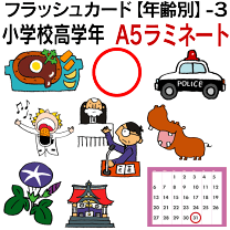 we can! 3 フラッシュカード　大判　A4変形サイズ　88枚　フルカラー 楽天市場】フラッシュカード【教科】□A4サイズ□ 英語カード